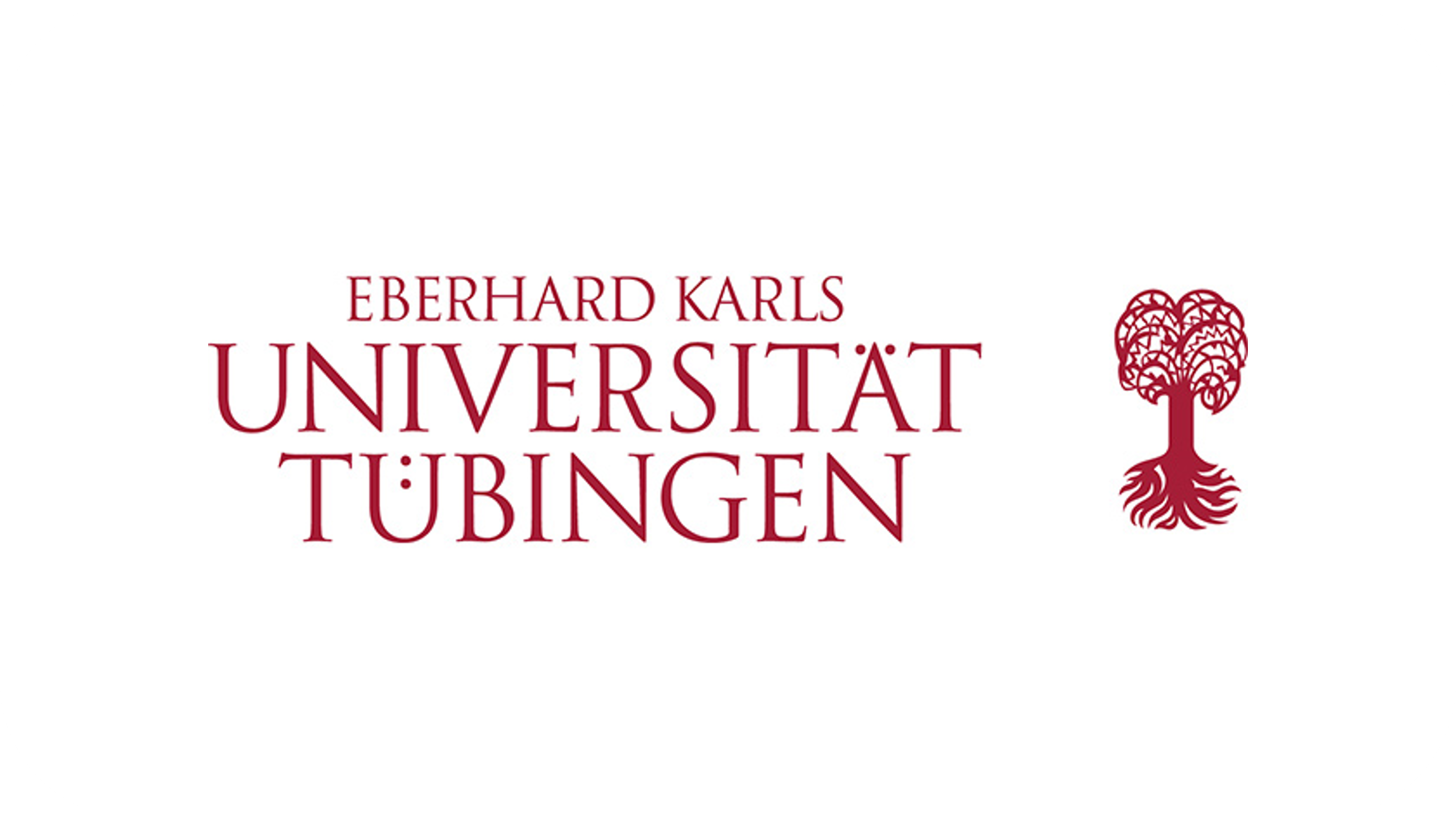 Tübingen University_Blim