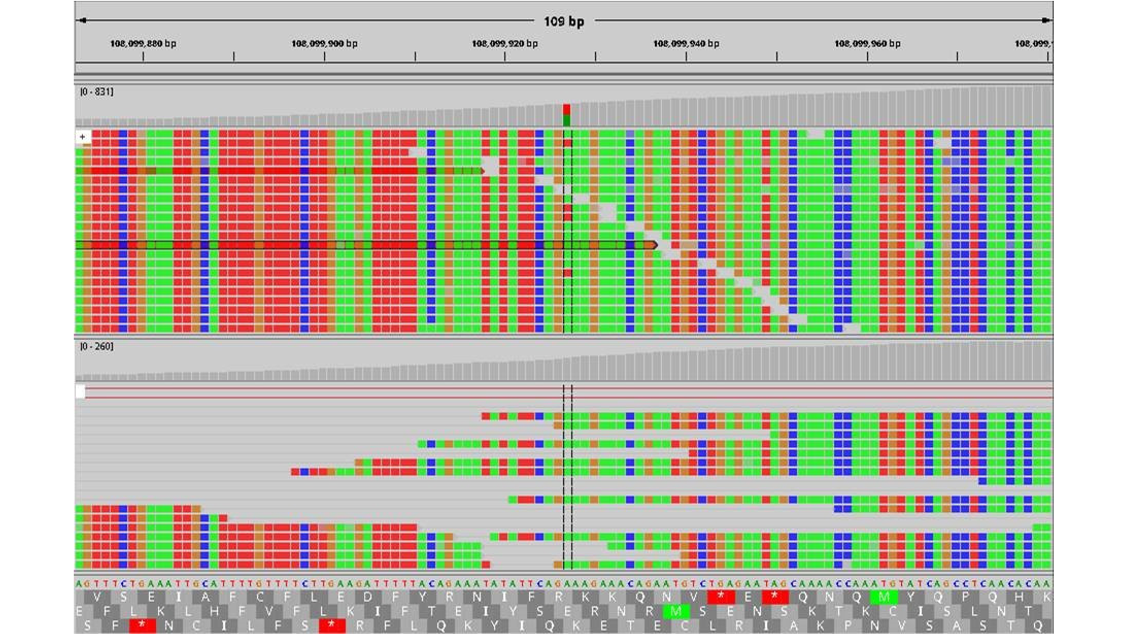 Quality standards for looking into the tumor genome