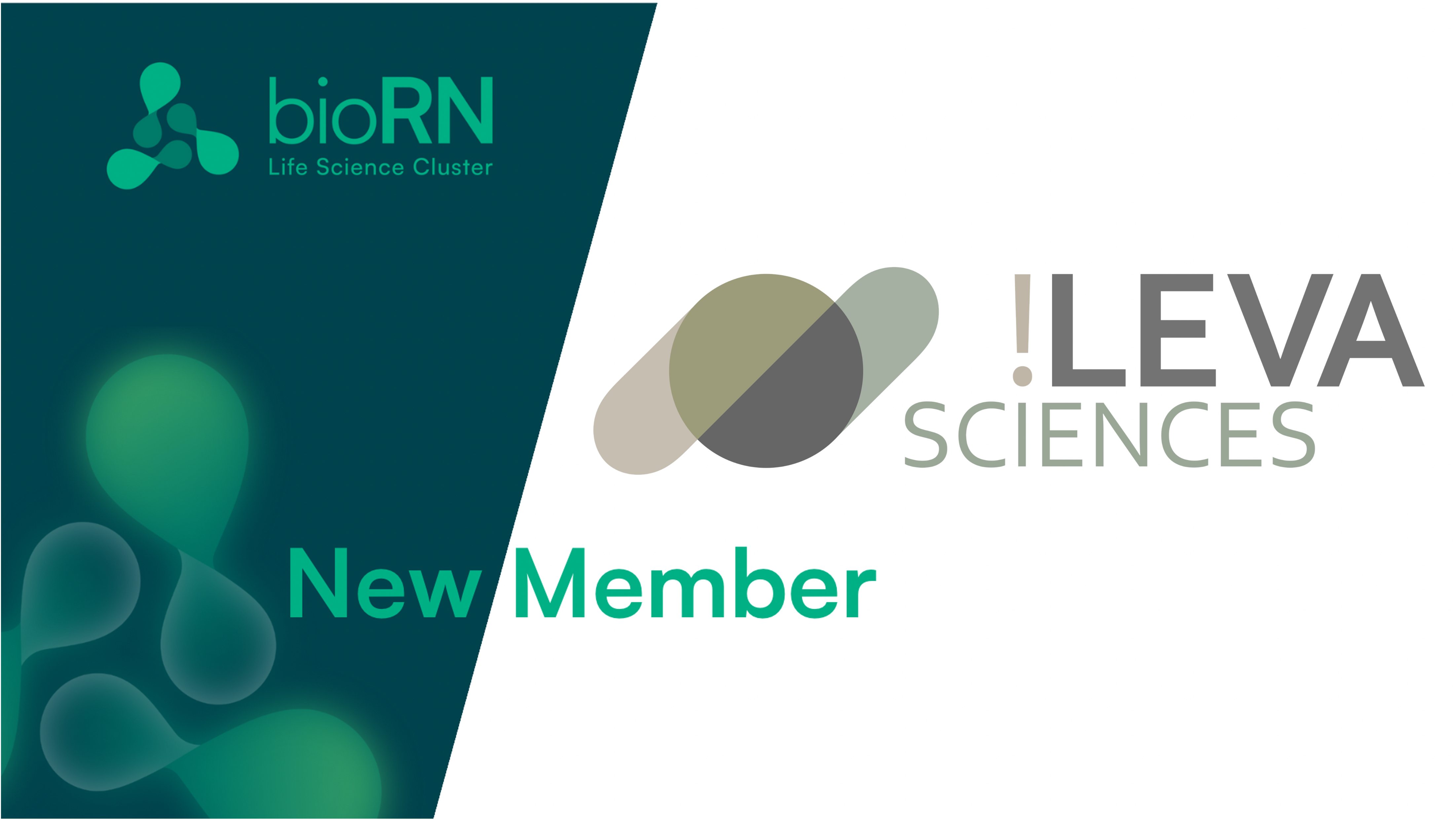 New Member: Welcome in our cluster to !LEVA Sciences GmbH