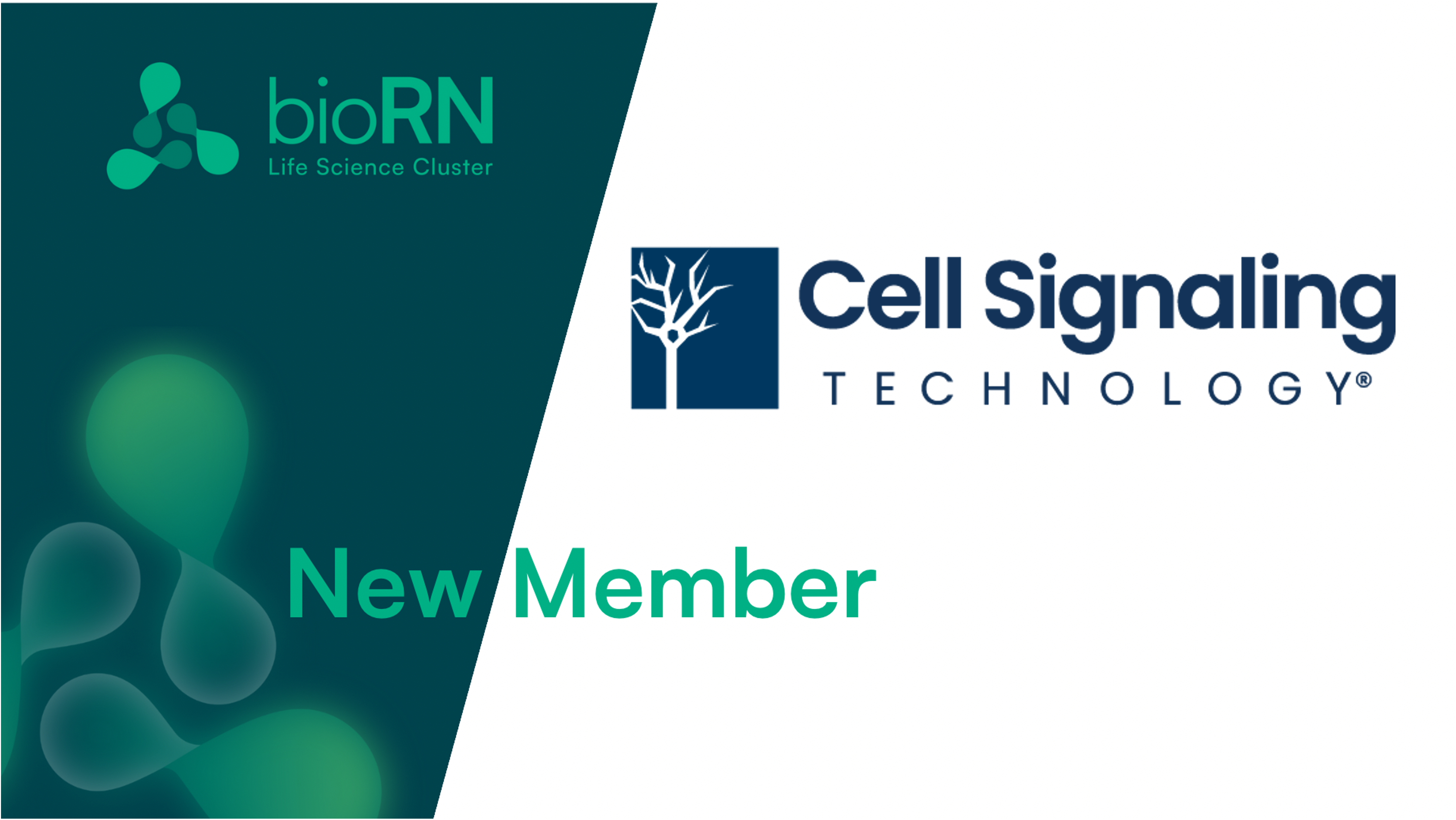 New Member: Welcome in our cluster to Cell Signaling Technology Europe B.V.