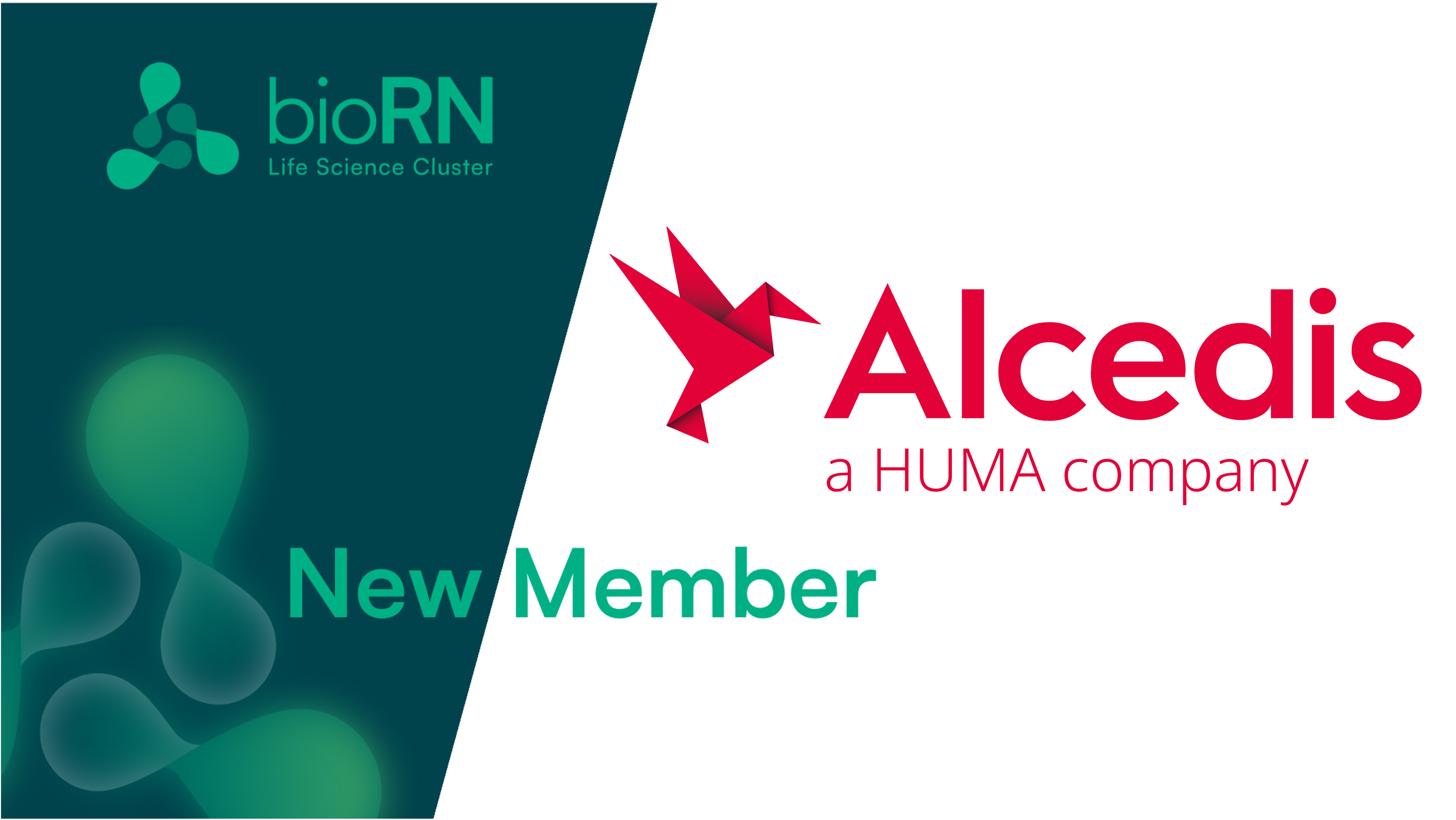 New Member: Welcome in our cluster to Alcedis GmbH