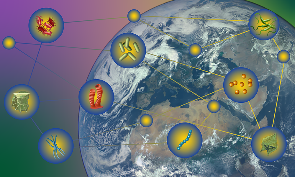 Planetary Biology in Action: Exploring Ecosystems