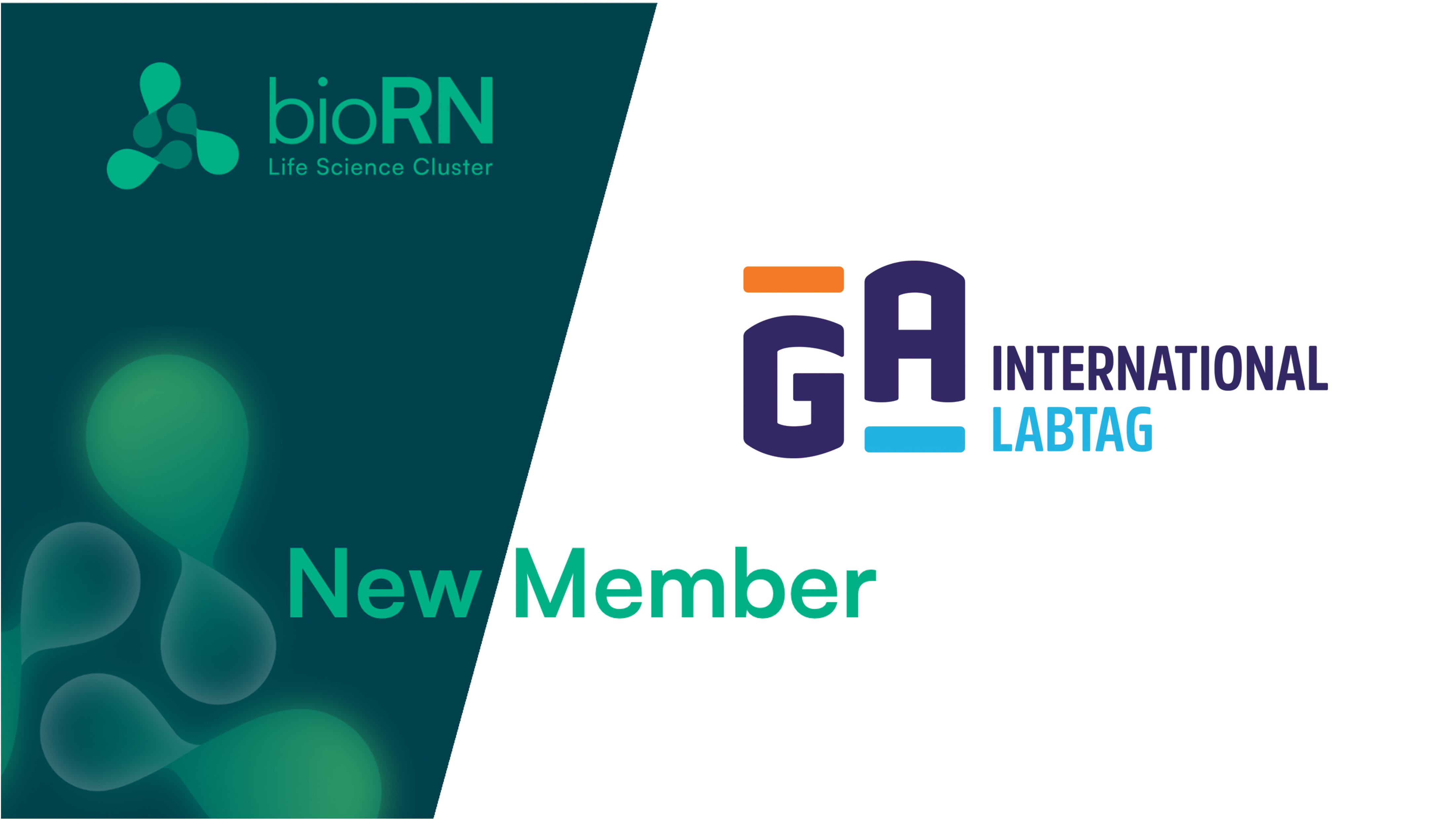 New Member: Welcome in our cluster to GA International Inc.