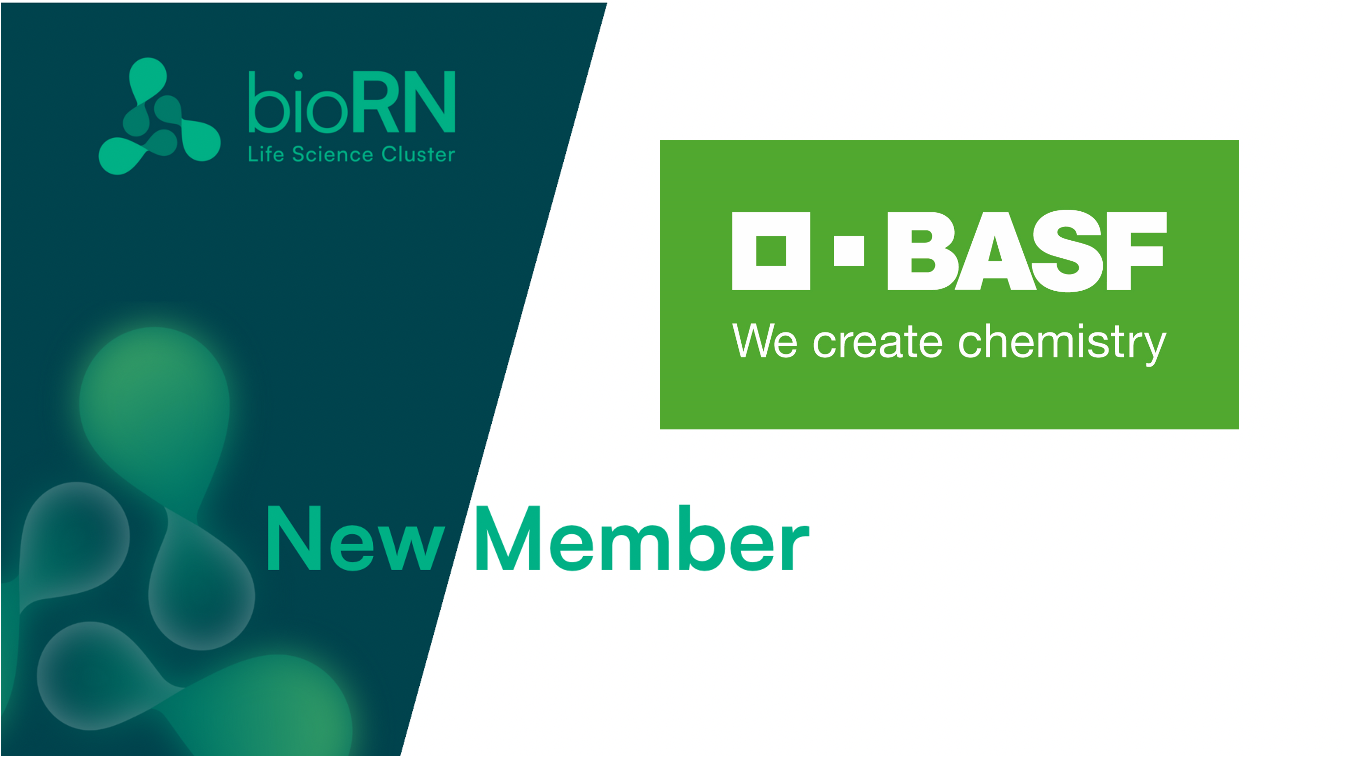New Member: Welcome in our cluster to BASF SE