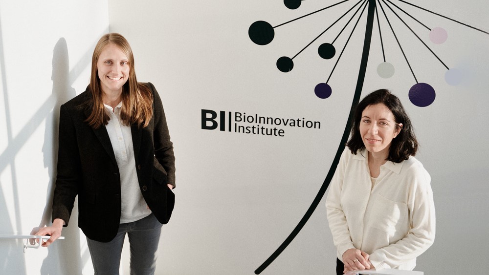 A human placenta model to protect pregnant women and their babies