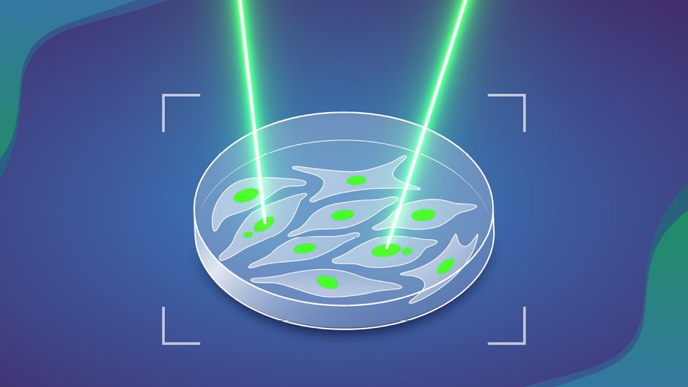 MAGIC: AI-assisted laser tag illuminates cancer origins