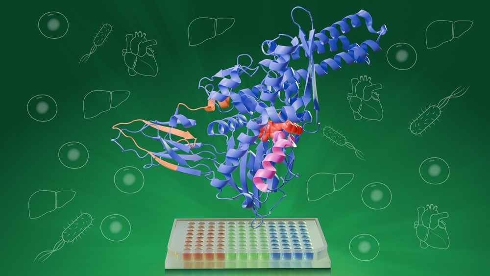 New method offers broader and faster detection of protein-ligand interactions
