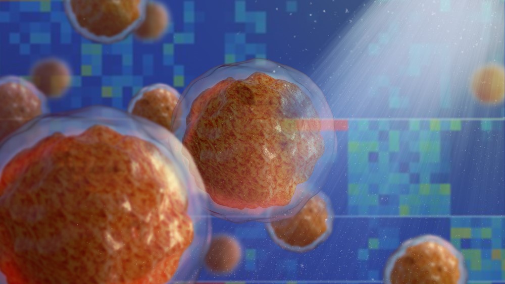 Inflammation rewires bone marrow microenvironment long before leukaemias develop