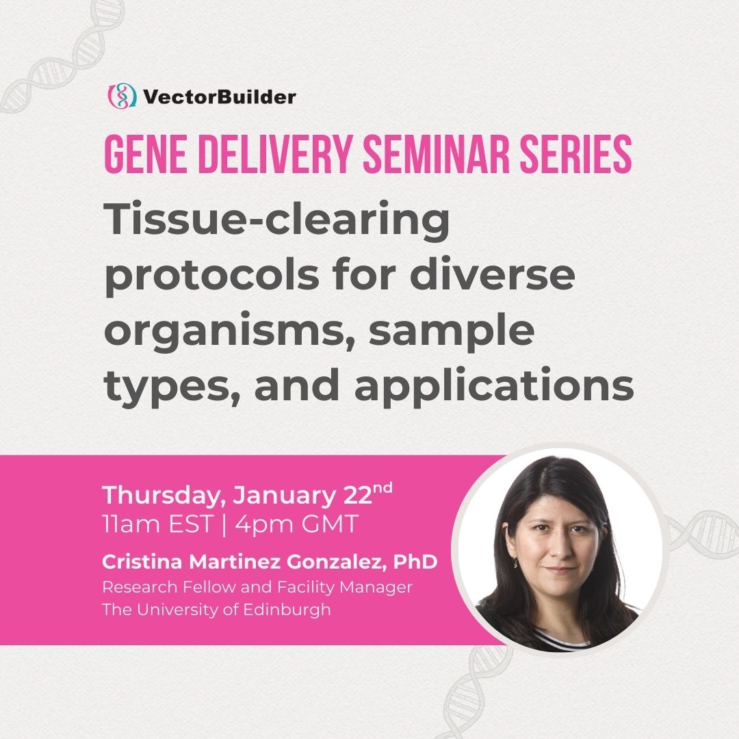 Gene Delivery Seminar with Dr. Cristina Martinez Gonzalez