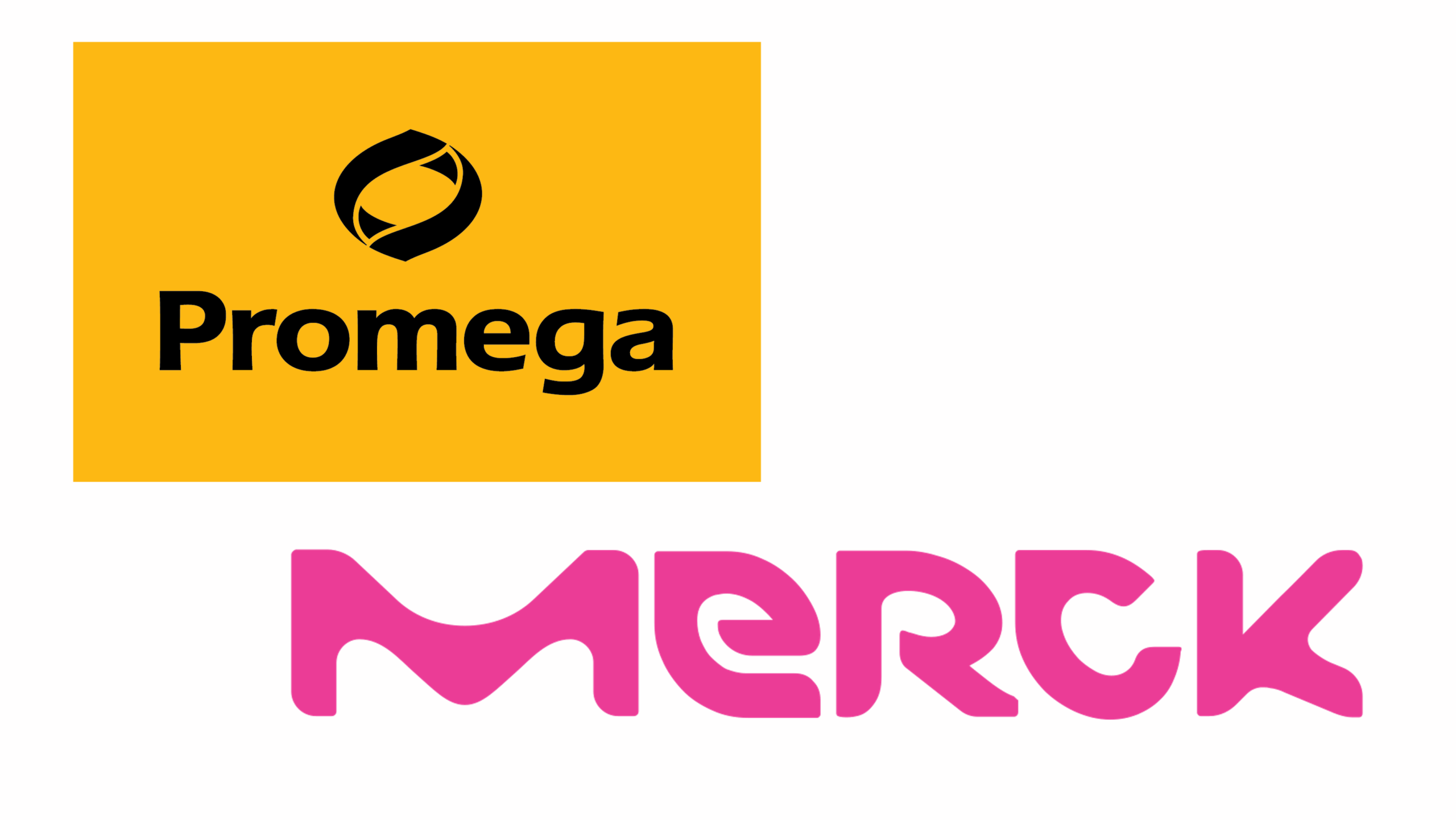 Merck and Promega collaborate on 3D cell technology for drug discovery