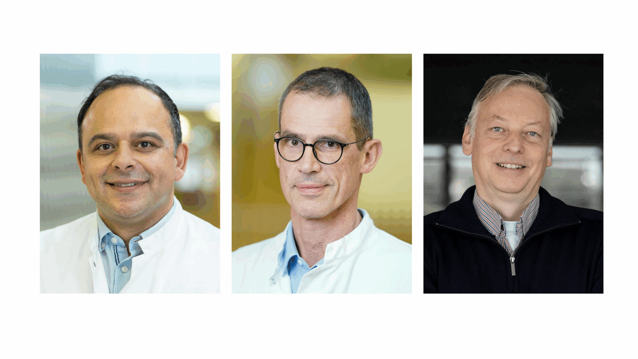 Two ERC Synergy Grants for Scientists at Universität Heidelberg
