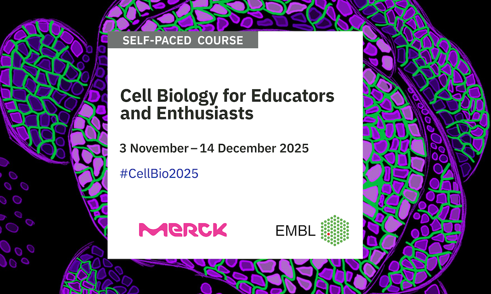 Cell Biology for Educators and Enthusiasts – Web Course