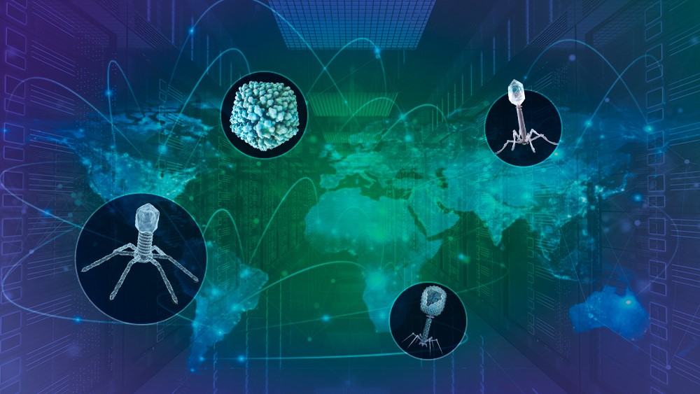 VIRE: a global data platform to better understand viruses