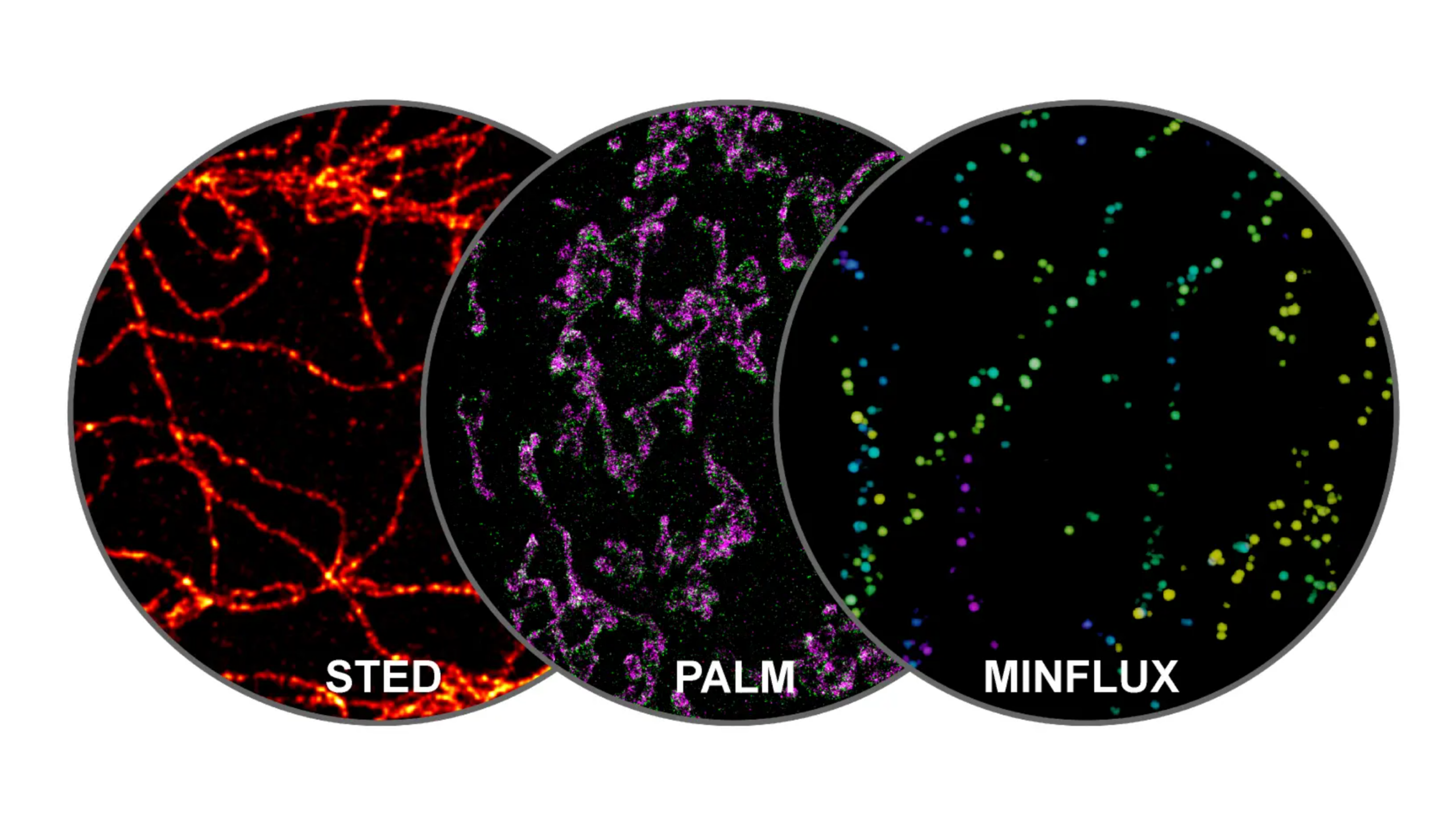 Seeing cells in a new light