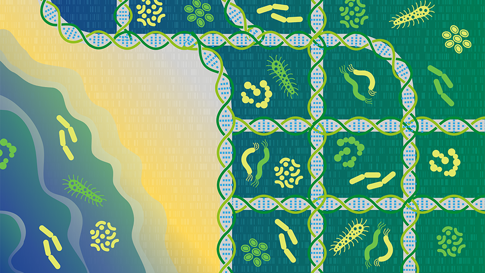 Mapping the microbial communities beneath our feet and inside our guts