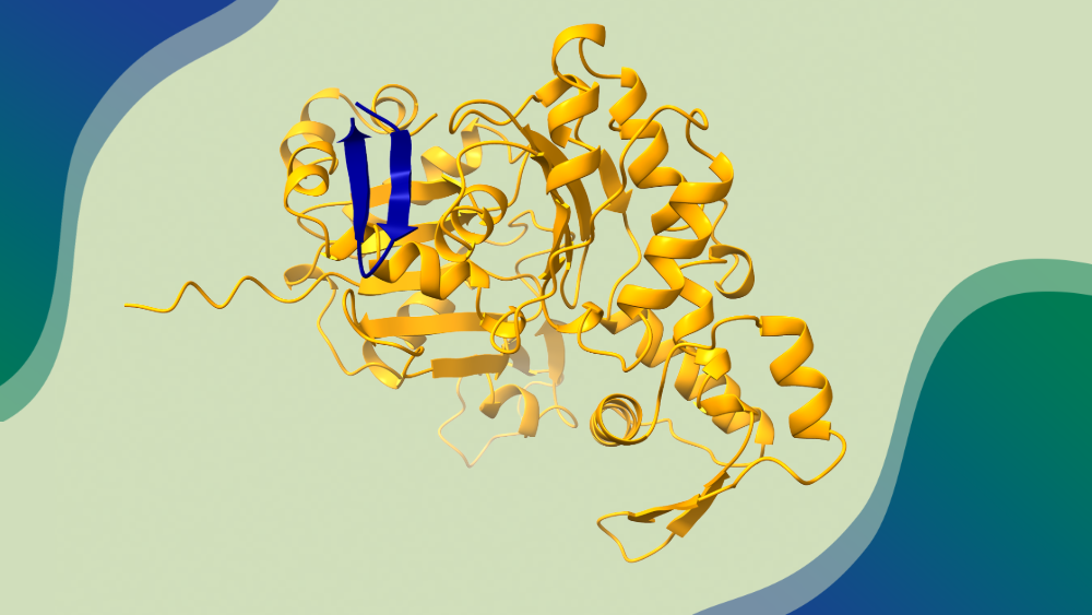 Scientists uncover thousands of new proteins in ‘dark proteome’