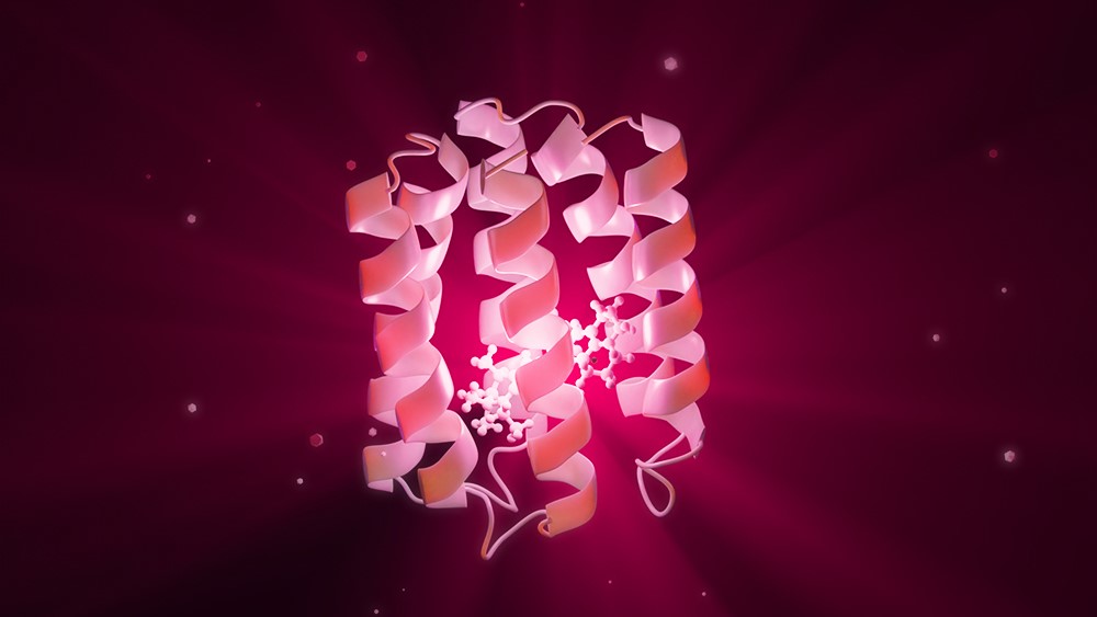 NovoTags: AI-designed proteins help scientists see inside living cells