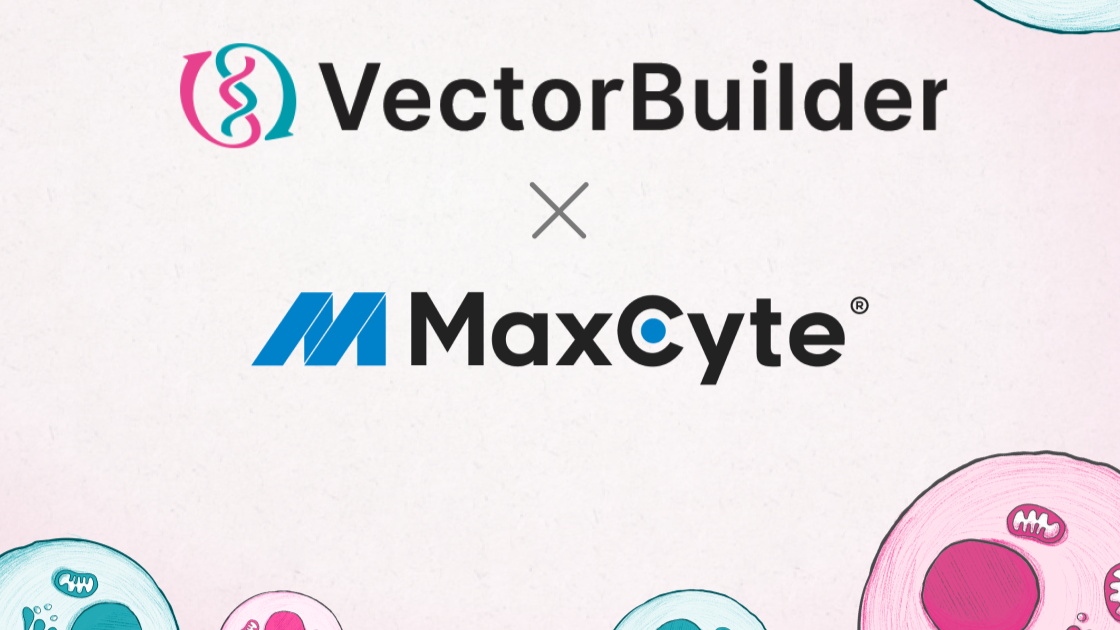 VectorBuilder Partners with MaxCyte® to Advance Clinical-Grade Cell Engineering