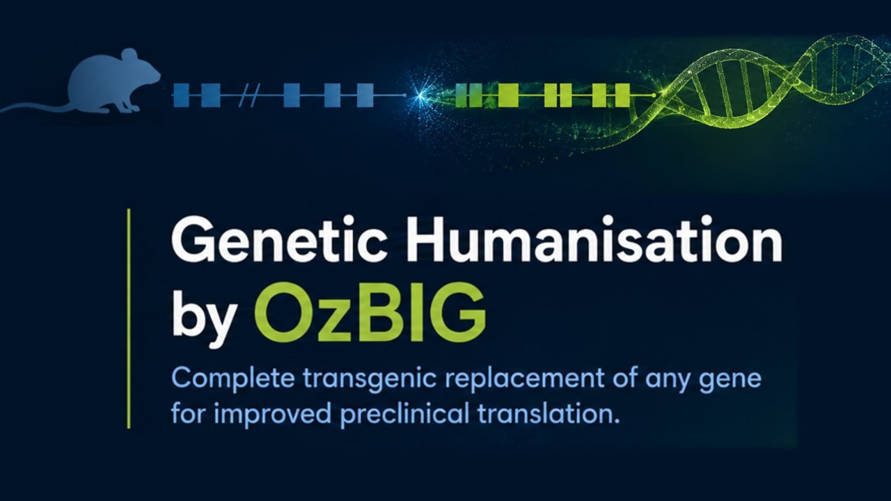 Gen-H Webinar: Genetic Humanization by OzBIG: Complete Transgenic Replacement of Any Gene for Improved Preclinical Translation