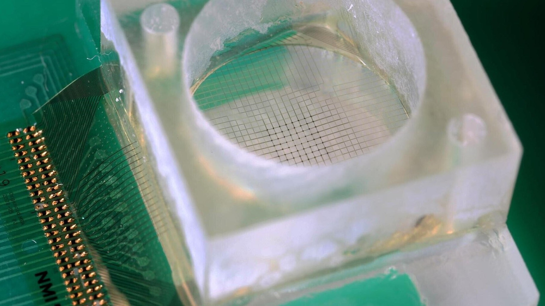 Making Medications Safer: NMI Participates in the HEARTCORE Project